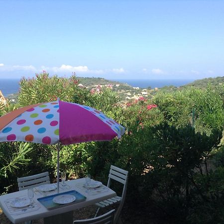 Panoramic Seaview Studio Tiuccia Casaglione 외부 사진