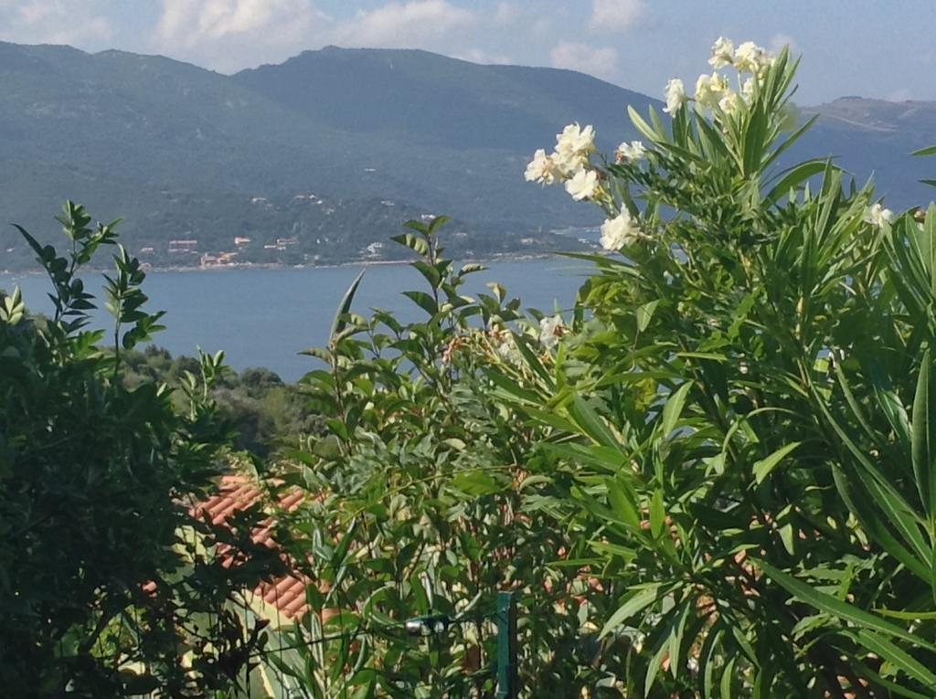 Panoramic Seaview Studio Tiuccia Casaglione 외부 사진